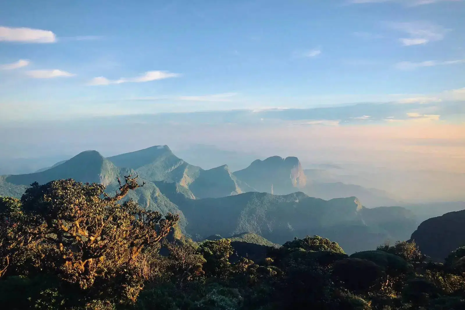 Knuckles Summit