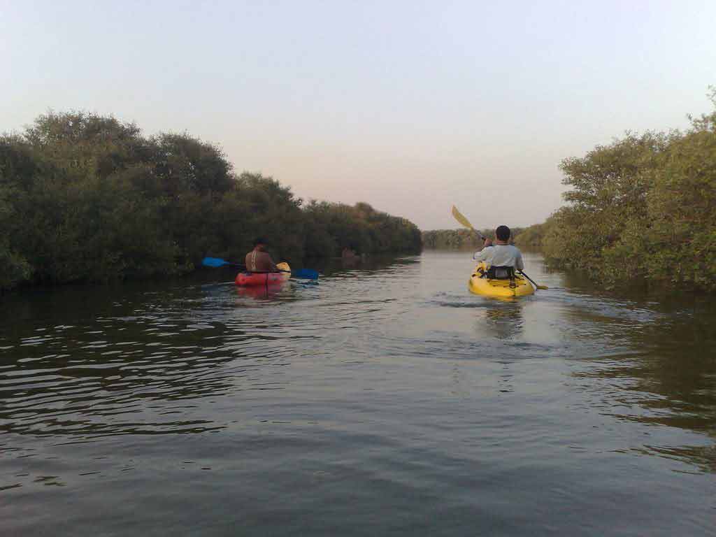 Mangrove Canal Entrance
