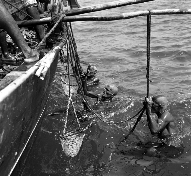 Pearl Diving Tour Ras Al Khaimah