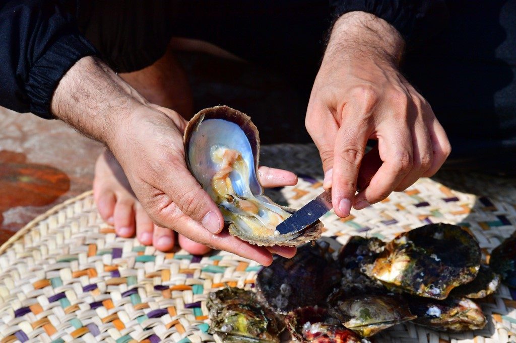 Live Oyster Workshop