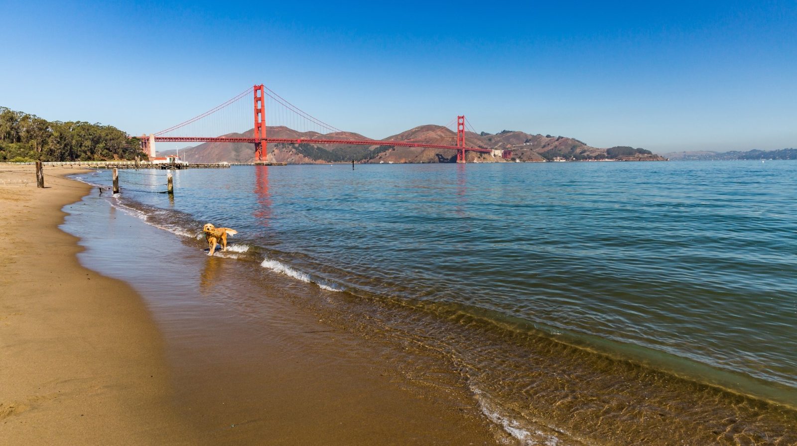 Crissy Field