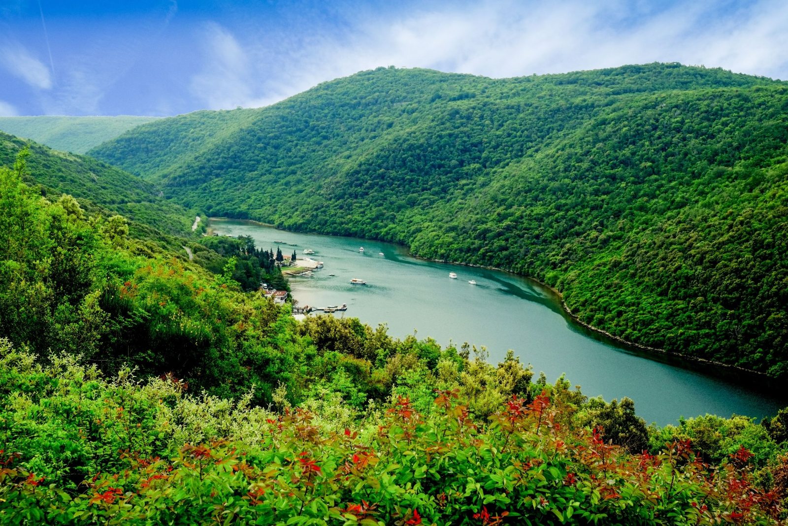 Lim Channel Viewpoint
