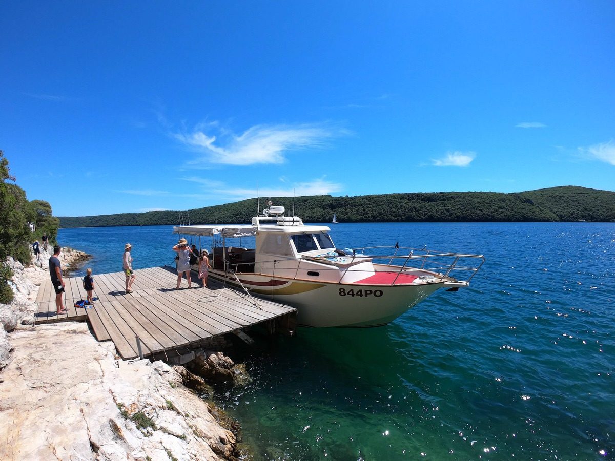 Fjord Water-Level Deck