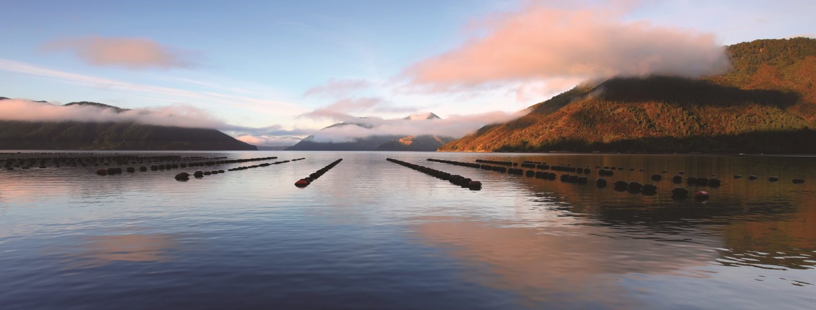 Shellfish Farms