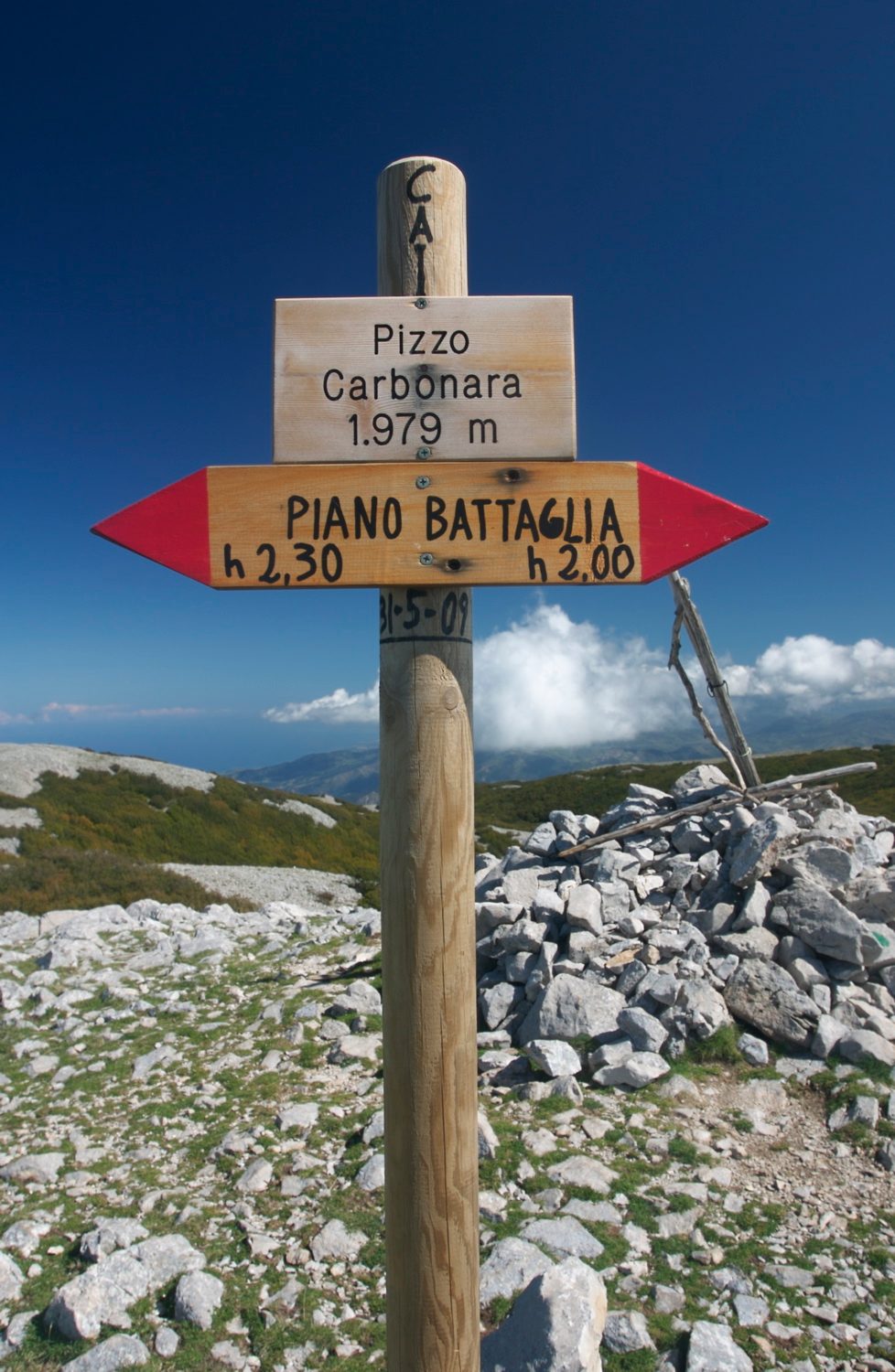 Pizzo Carbonara