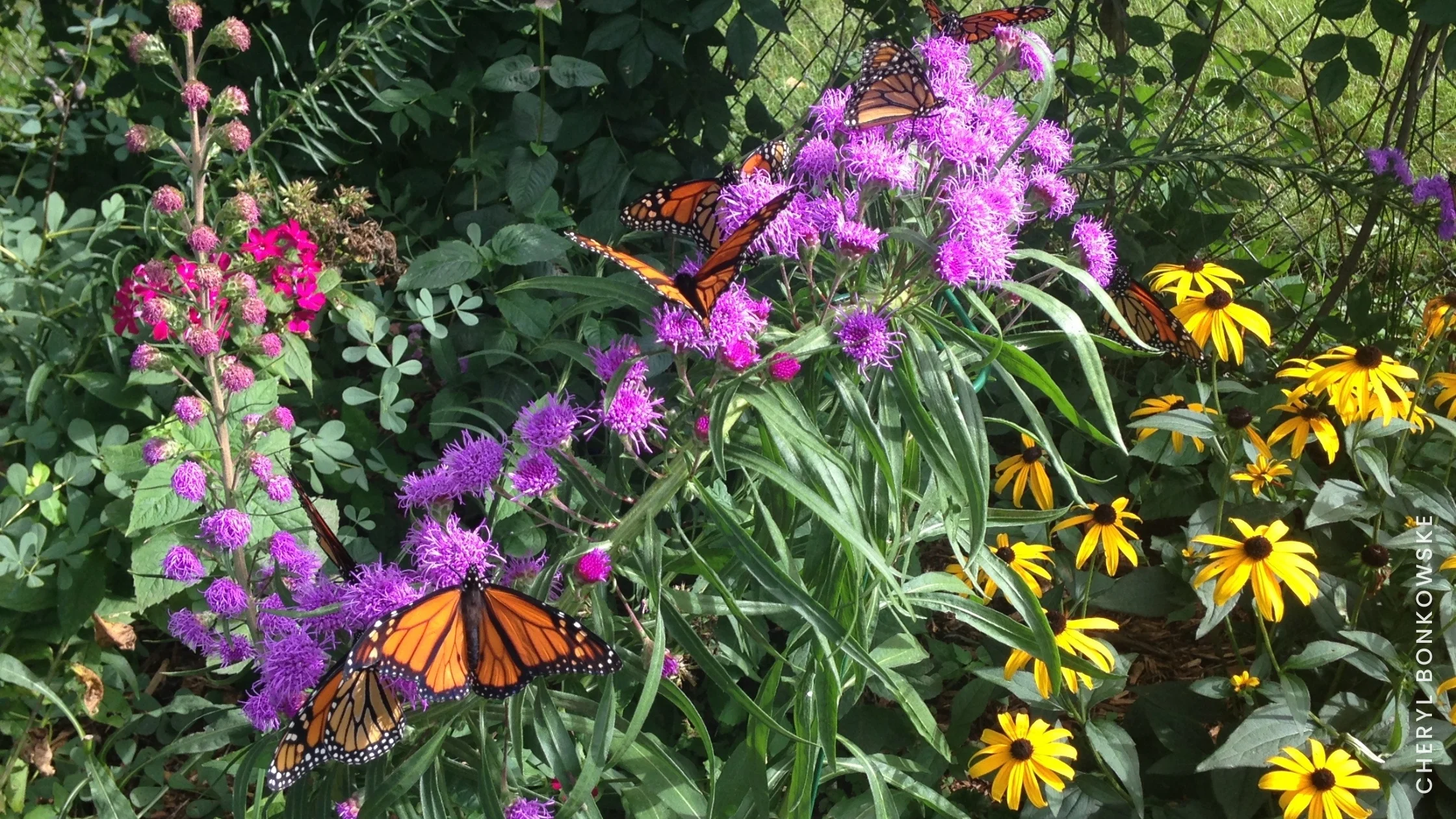 Botanical Gardens