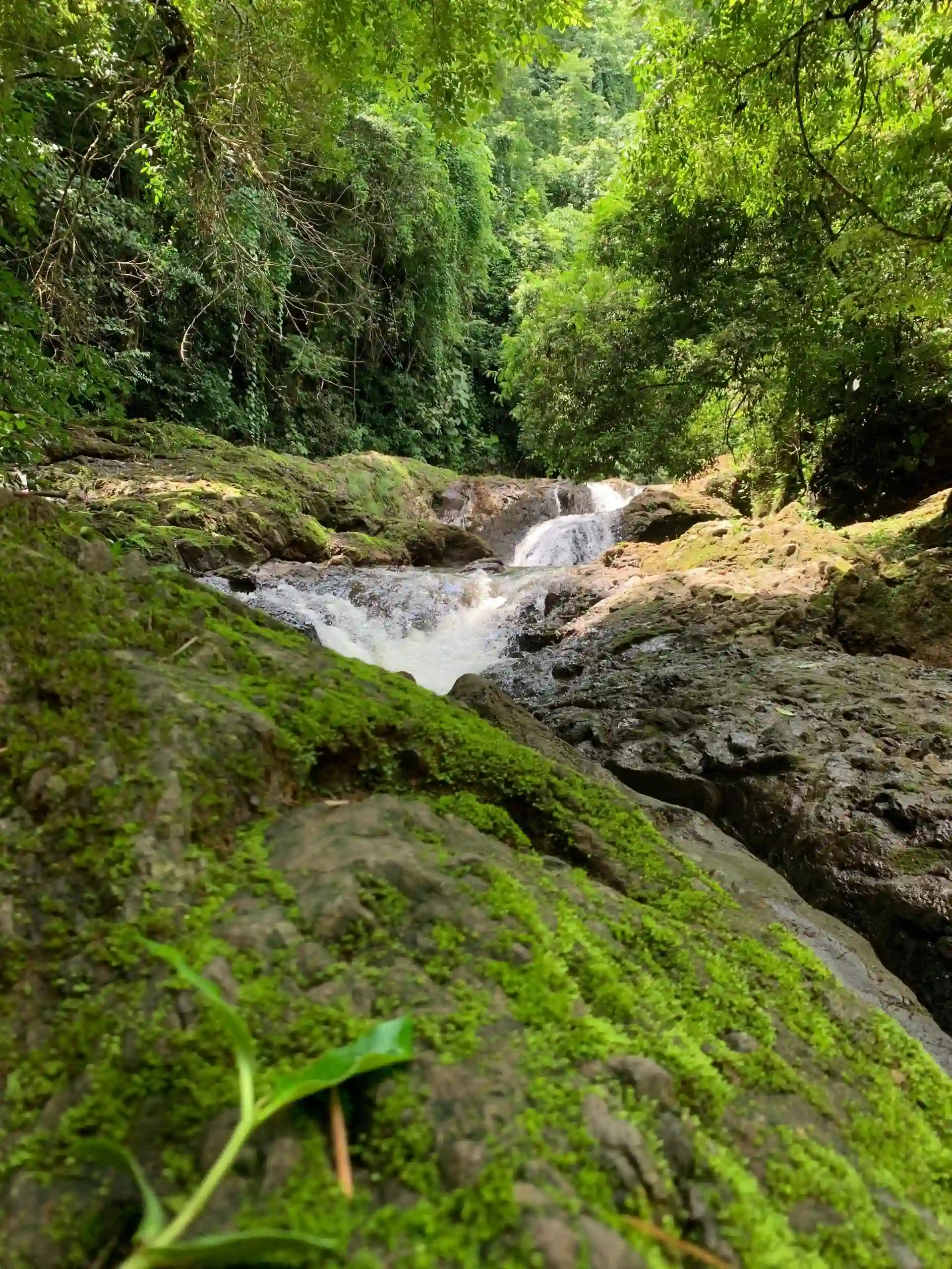 Scenic Nature Trails