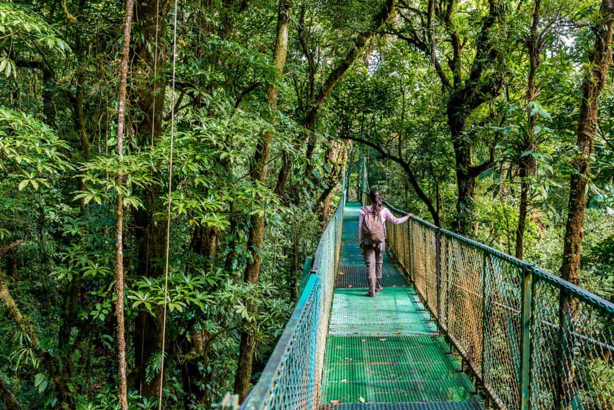 Canopy Walkway Bridge