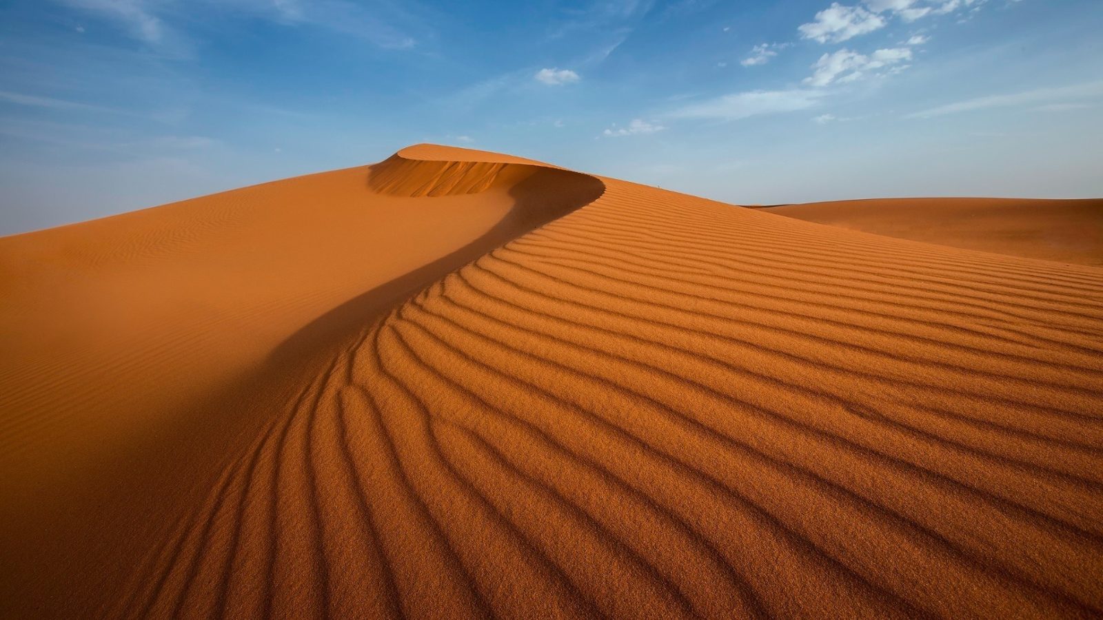 Dune Ridge Panorama