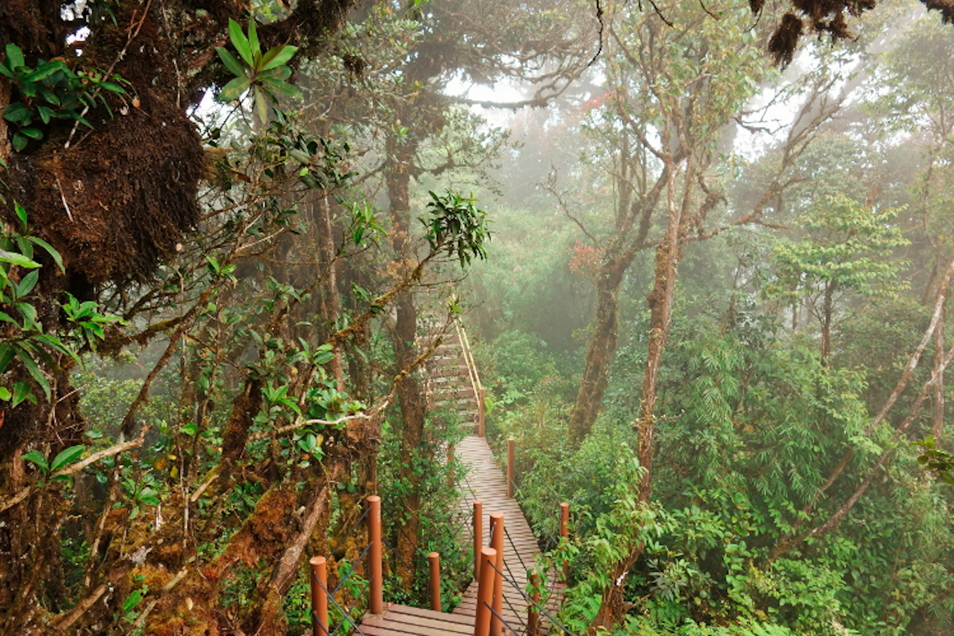 Cameron Highlands Day Trip From Kuala Lumpur