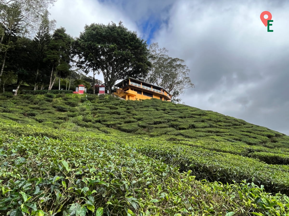 Cameron Valley Tea House Viewpoint