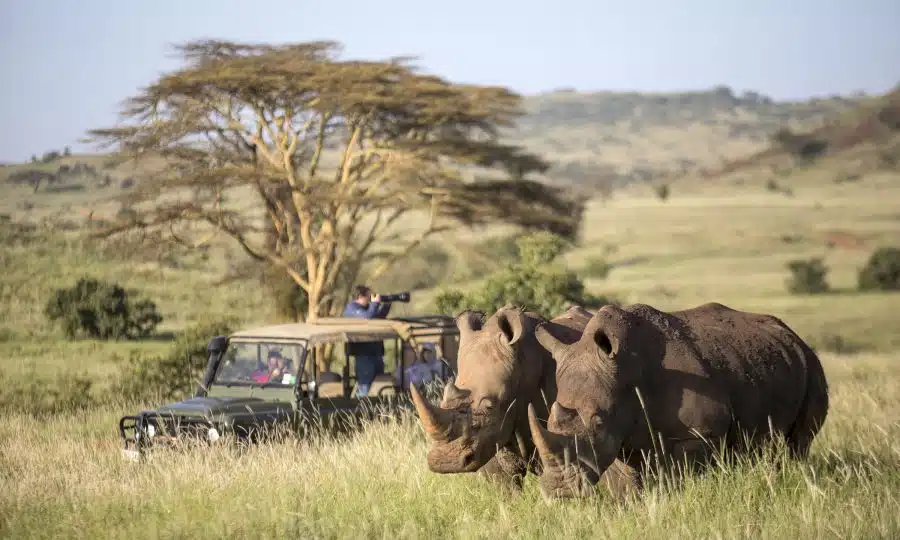 Big 5 Safari Hluhluwe