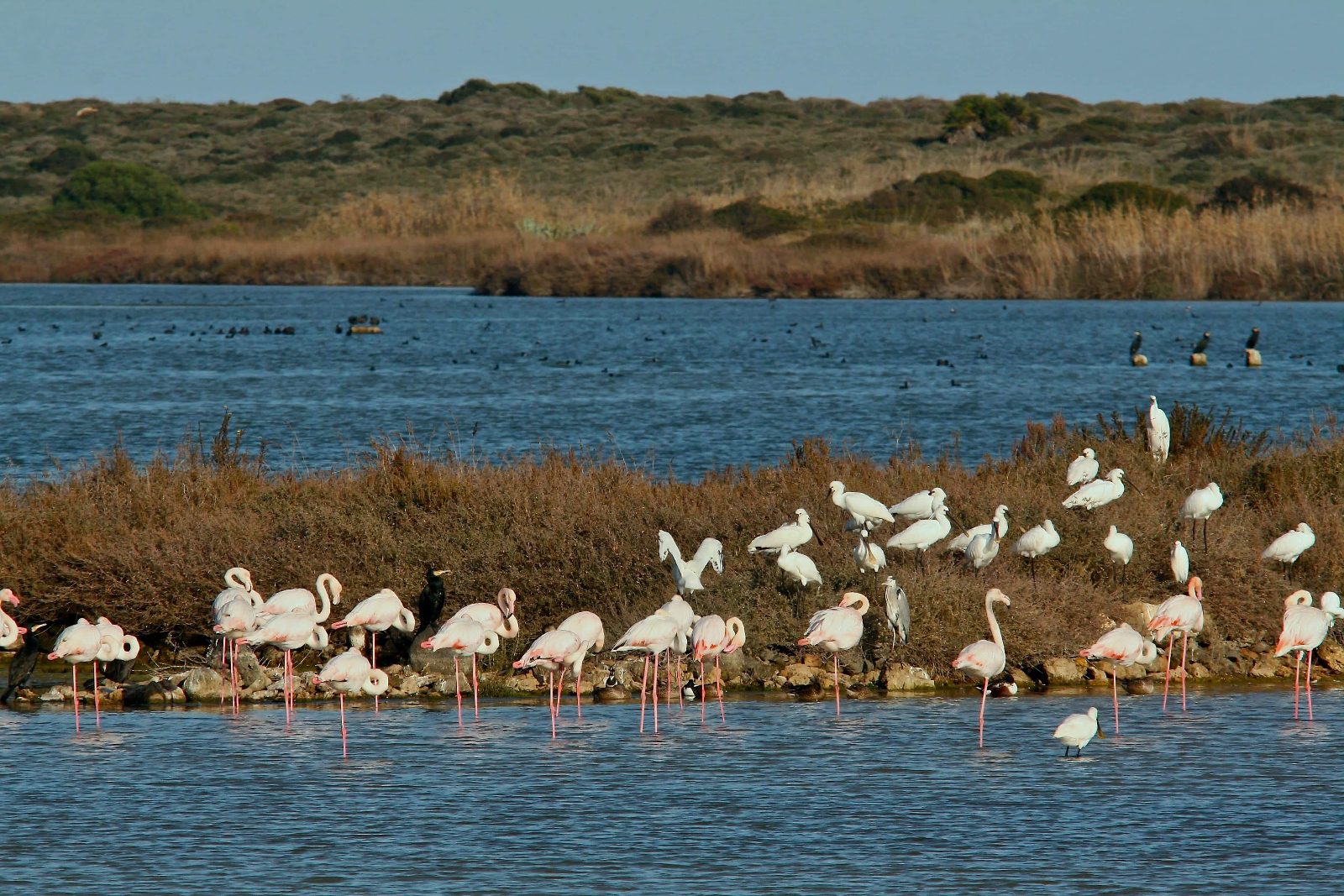 Vendicari Nature Reserve