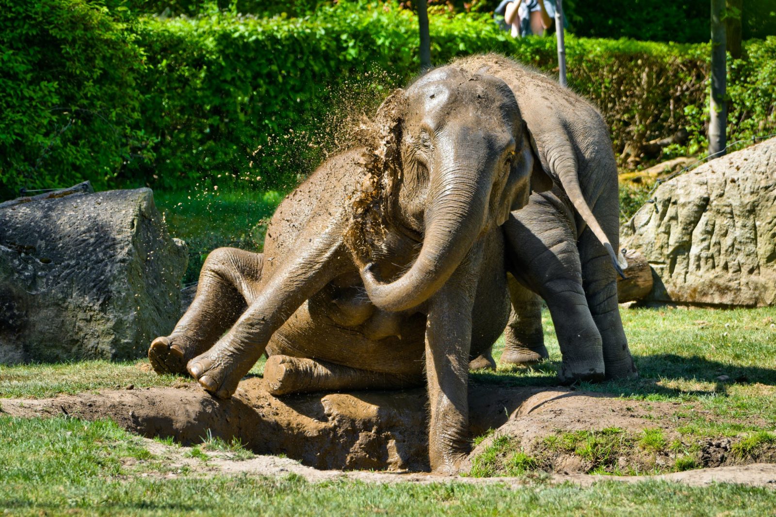 Valley of the Elephants Observation Point