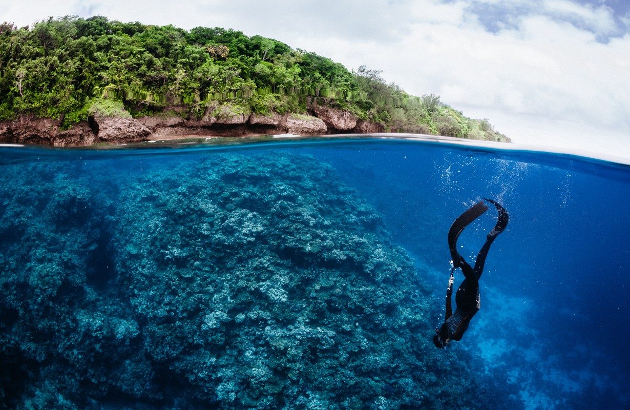 Underwater Reef Shelf
