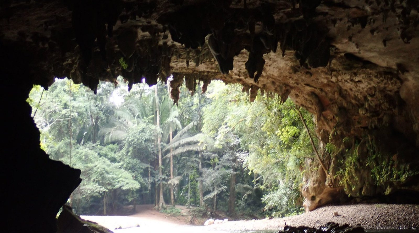 Cave Entrance Cathedral