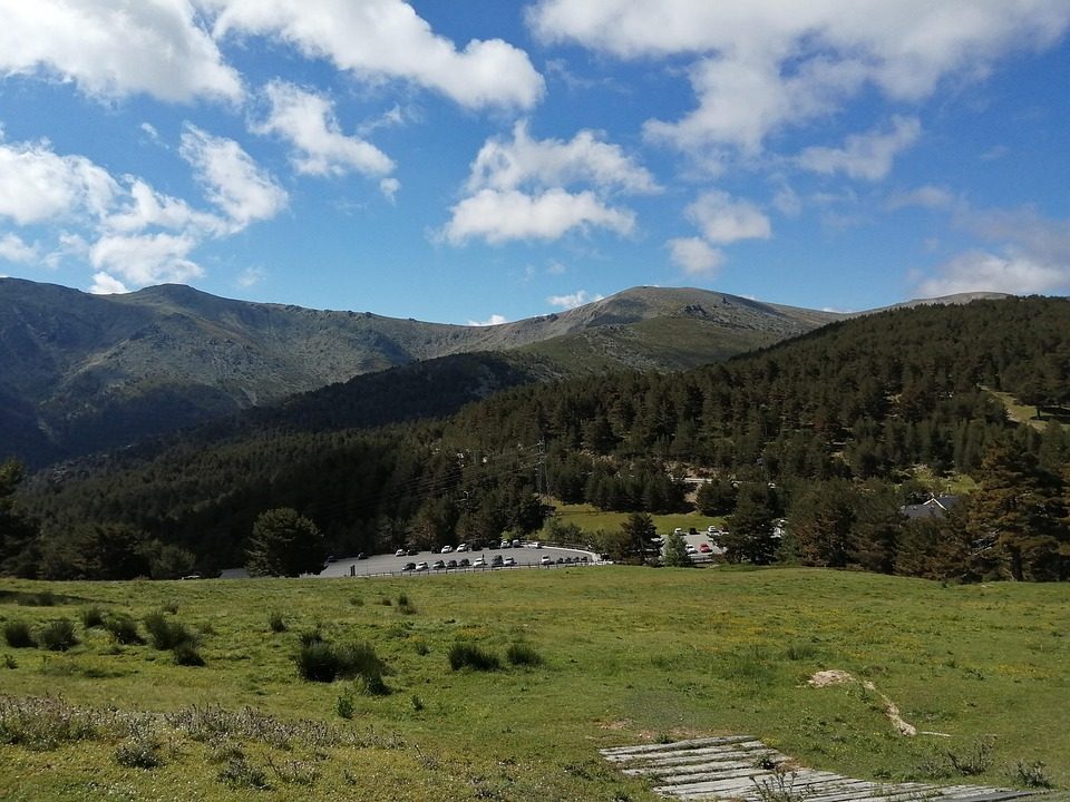 Puerto de Cotos Meadows
