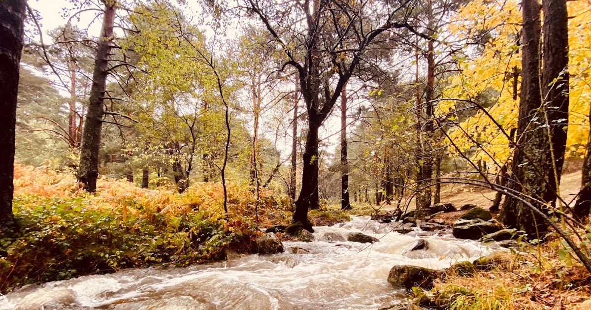 Valle de la Fuenfría