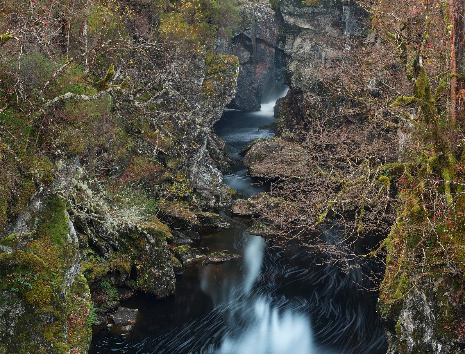 Dog Falls