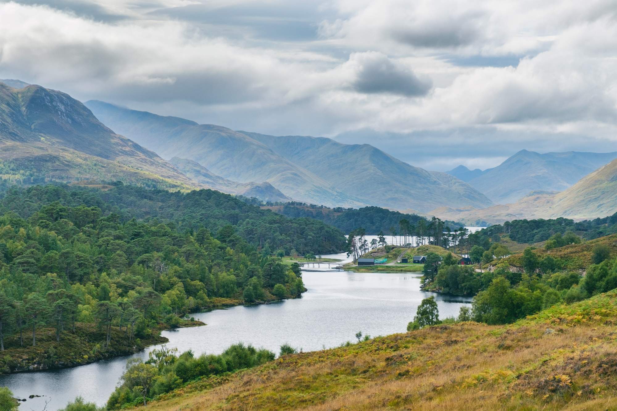 Glen Affric Tour From Inverness