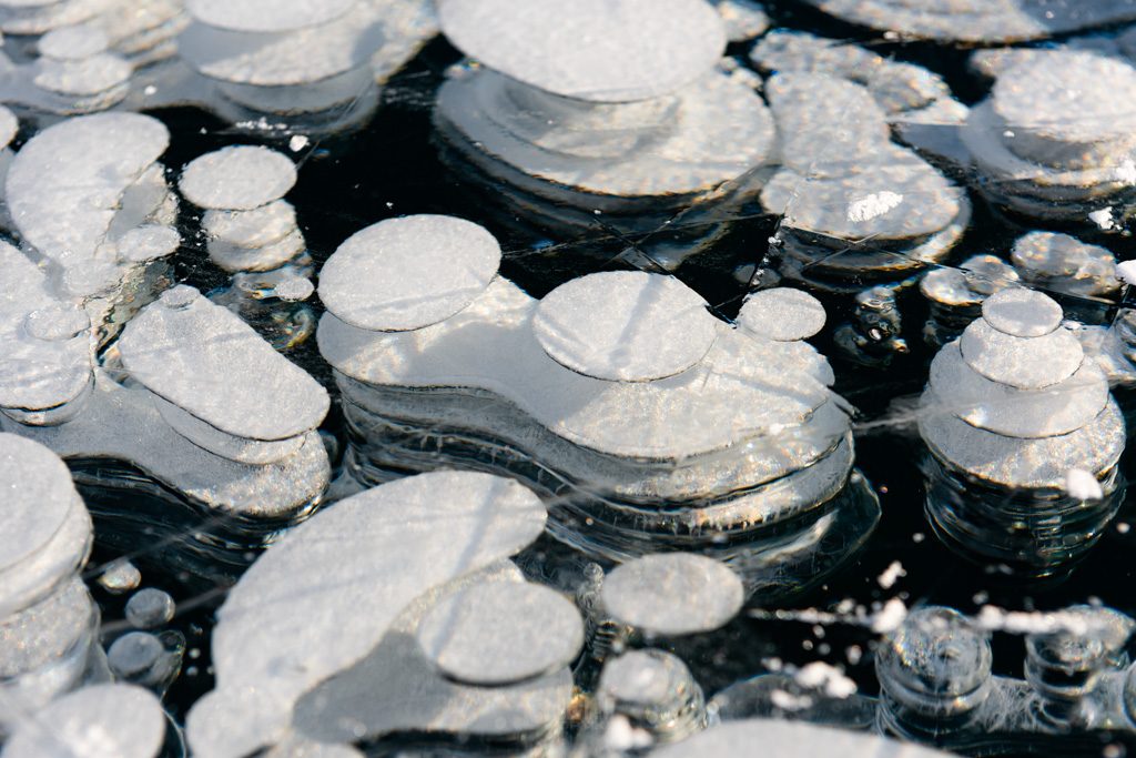 Abraham Lake Ice Bubbles Tour
