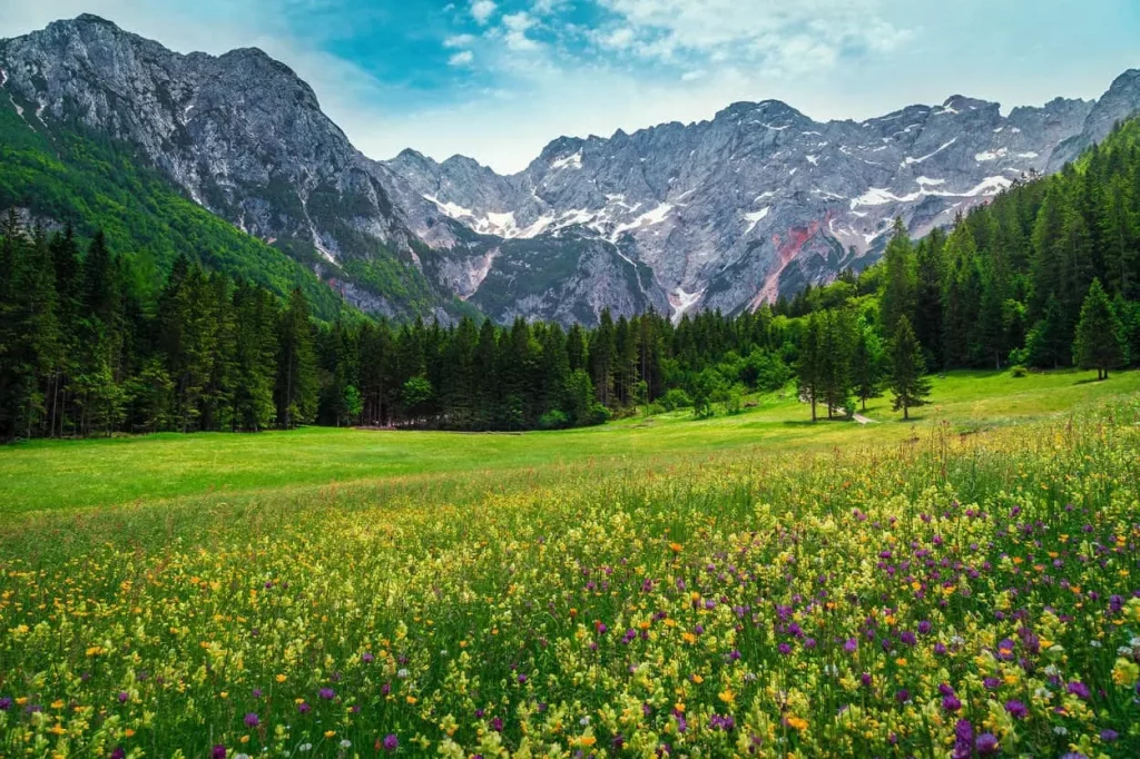 Kamnik-Savinja Alps