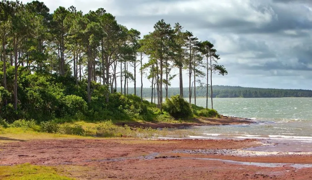 Black River Gorges National Park