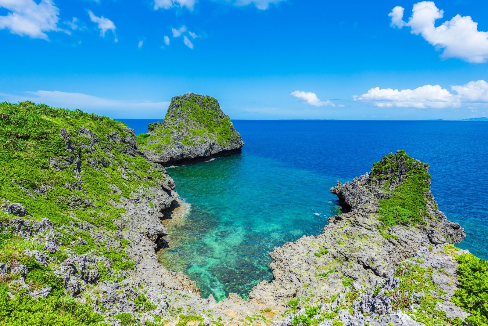 Coastal Cliff Trail
