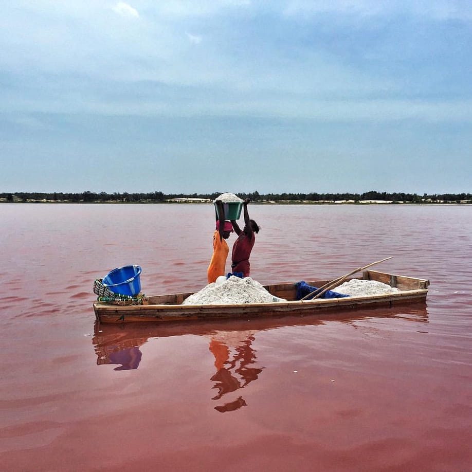 Salt Harvester Shoreline