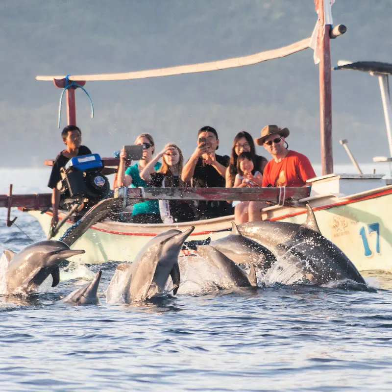 Umag Dolphin Tour
