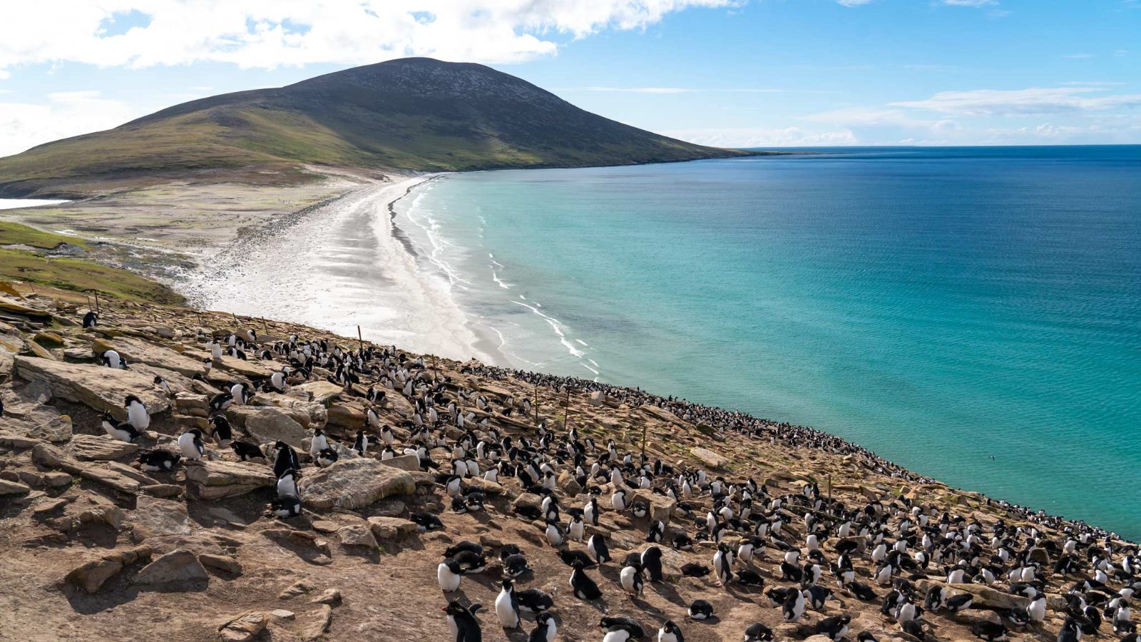 Falkland Islands