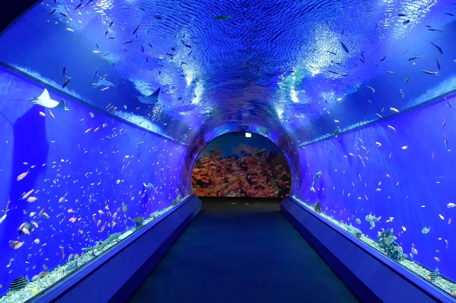 Aqua Gate