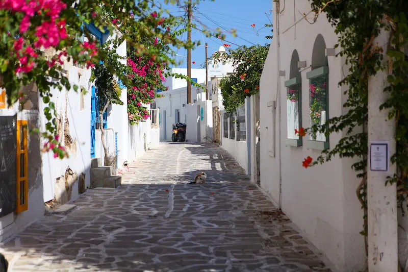Cycladic Townscape