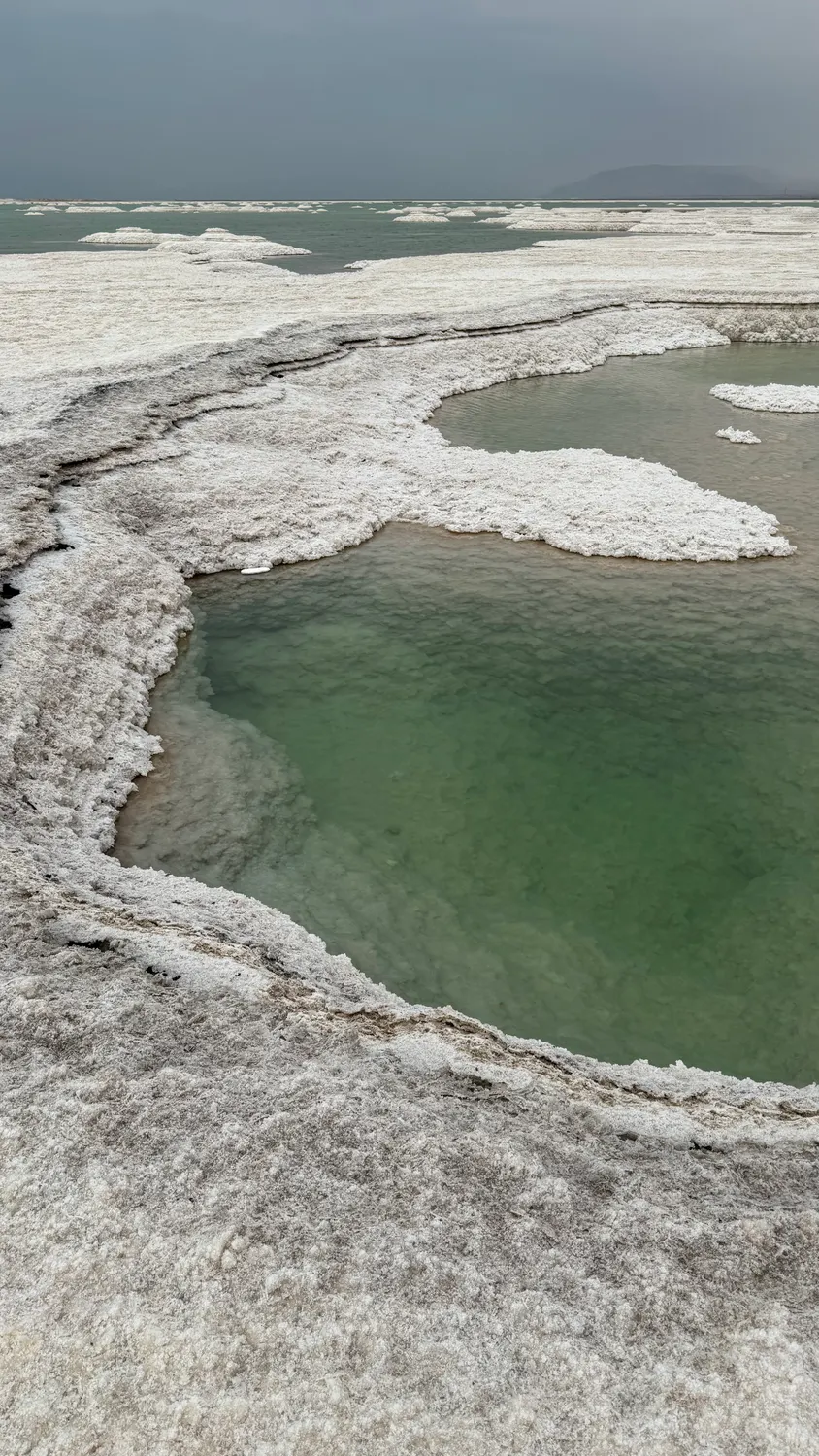 Dead Sea Shoreline
