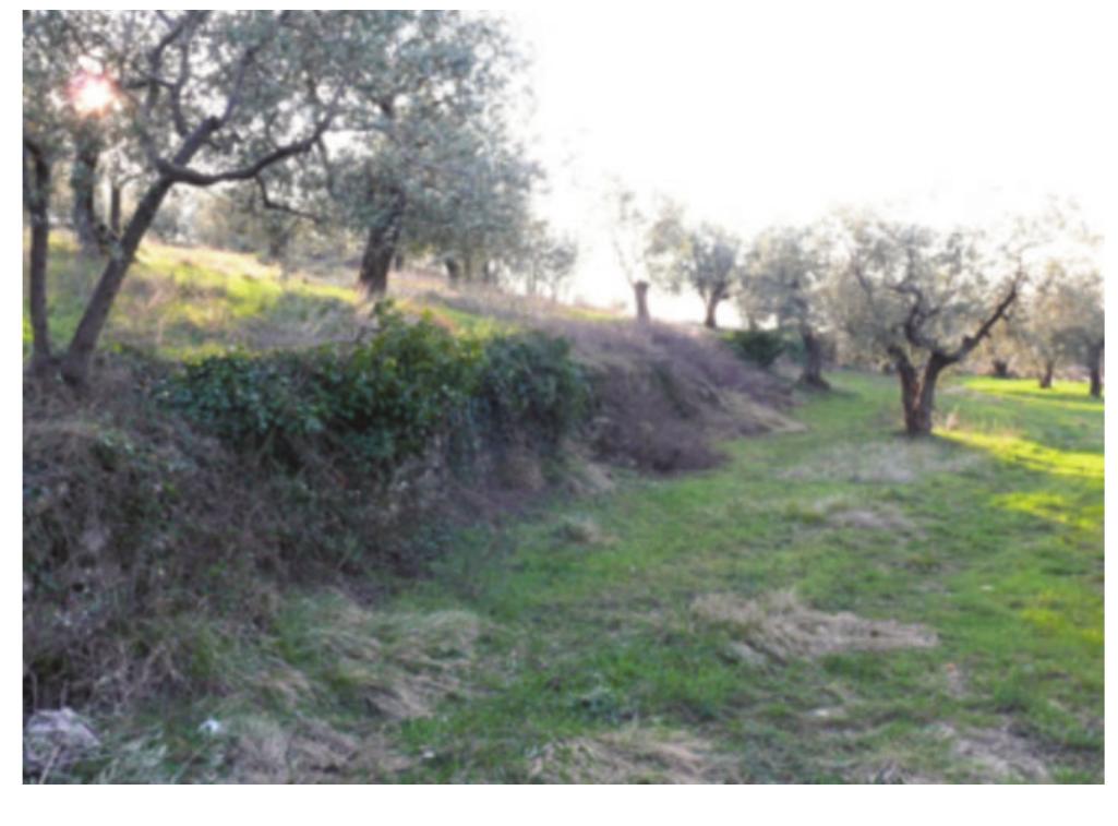 Seasonal Soil Analysis