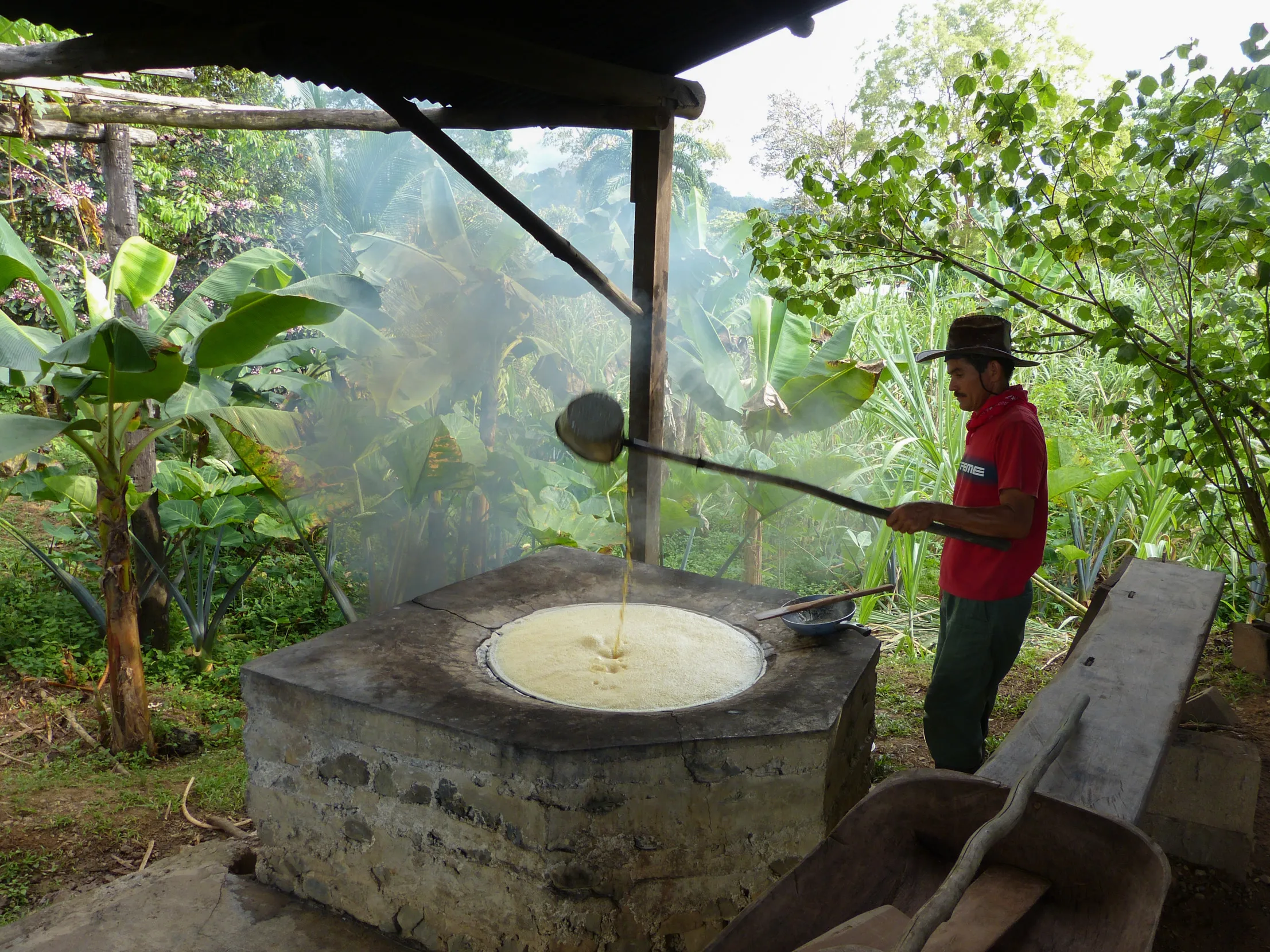 Sugar Cane Mill