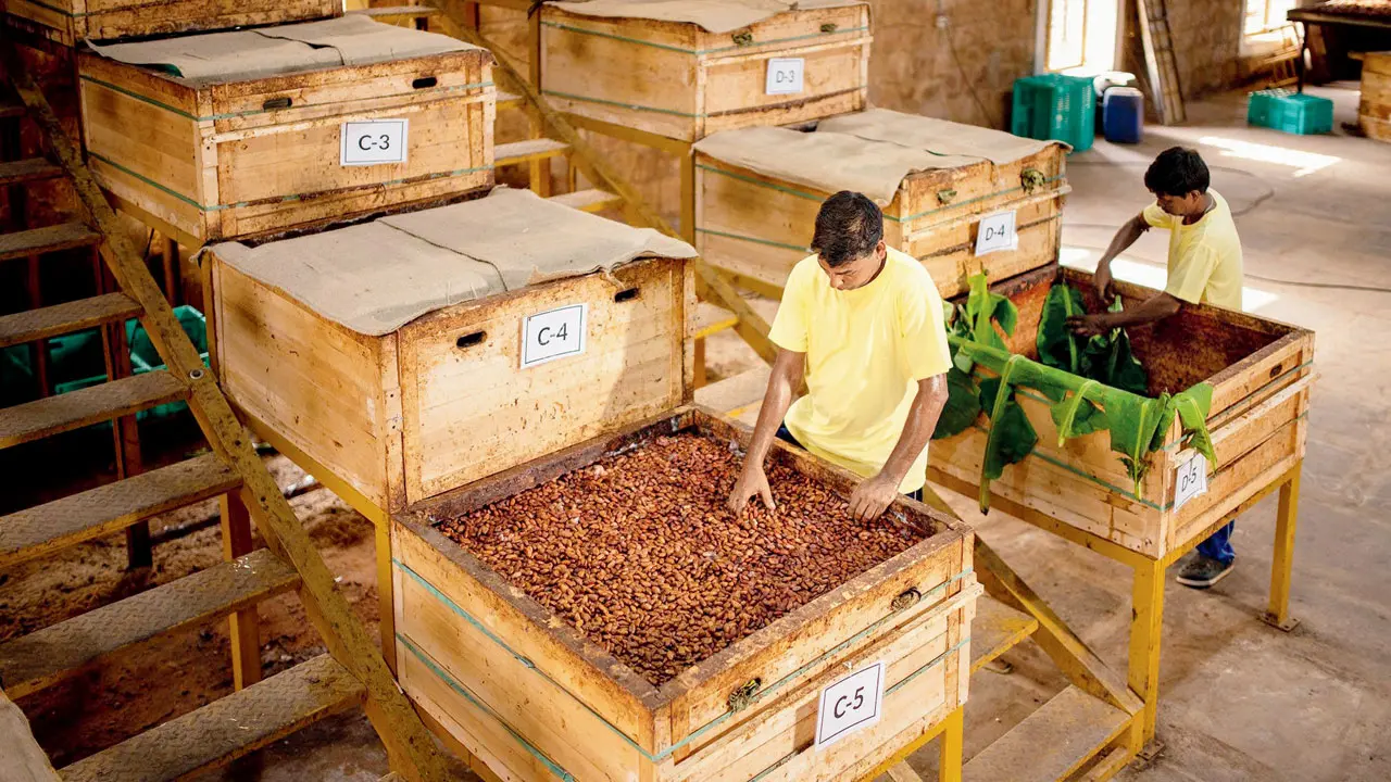 Processing Facility