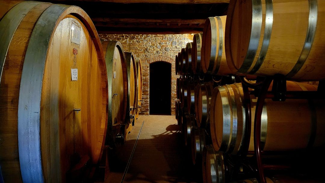 Cellar Tour