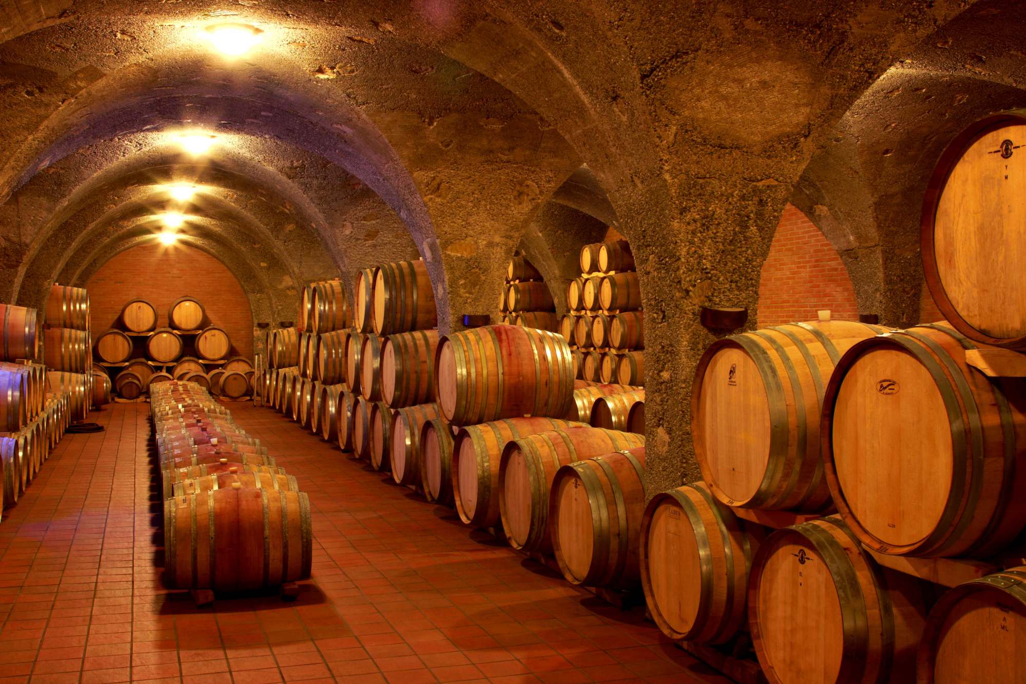 Half Day Brunello Di Montalcino Wine Tour From Siena