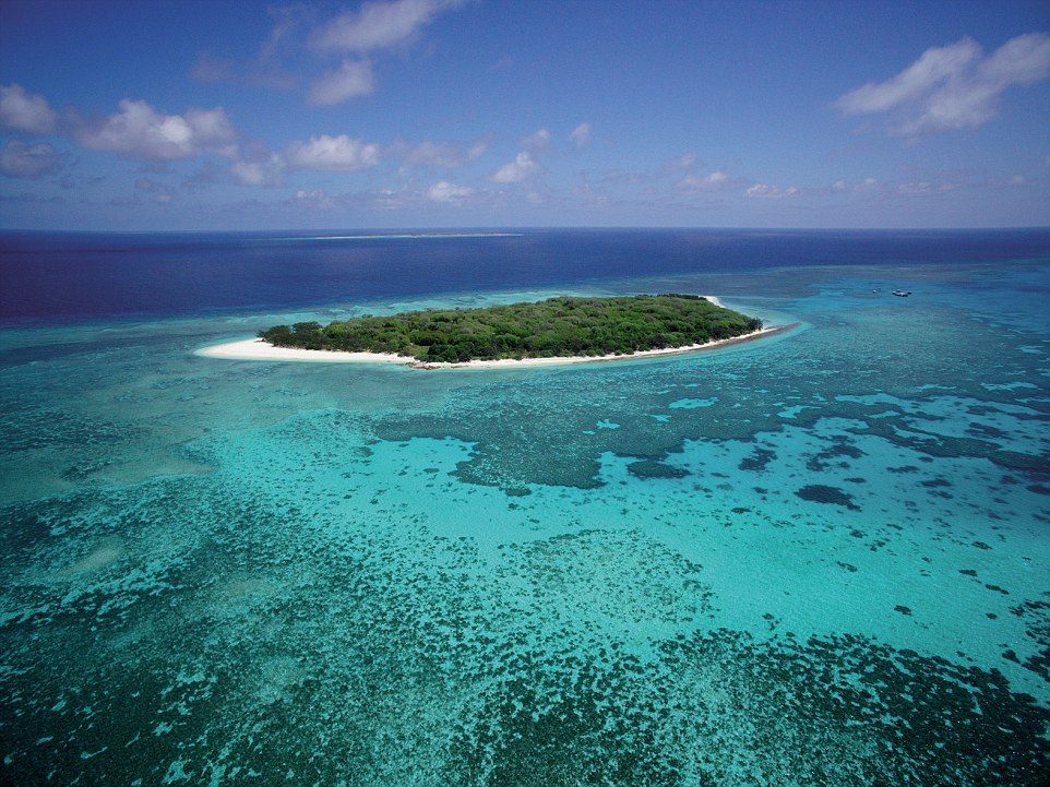 Coral Cay