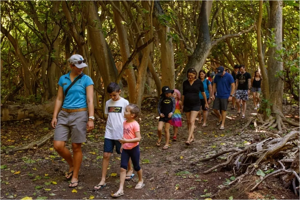 Island Walking Track