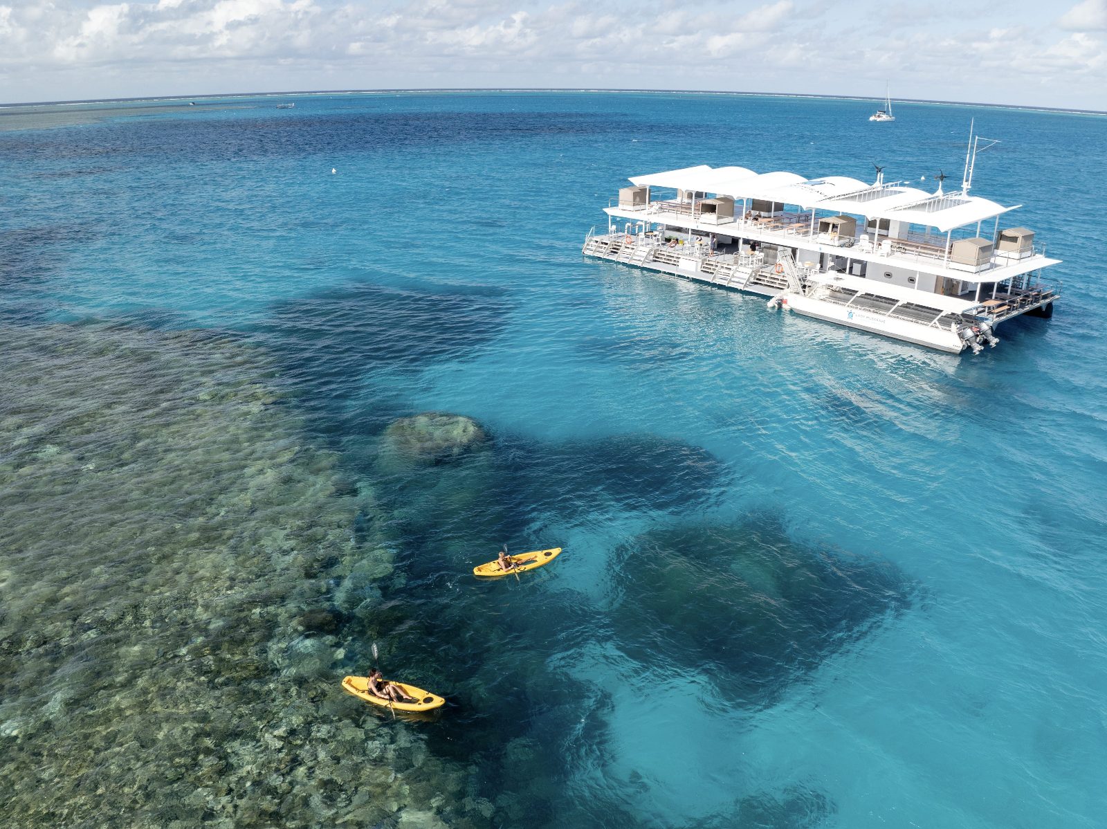 Reef Pontoon Top Deck