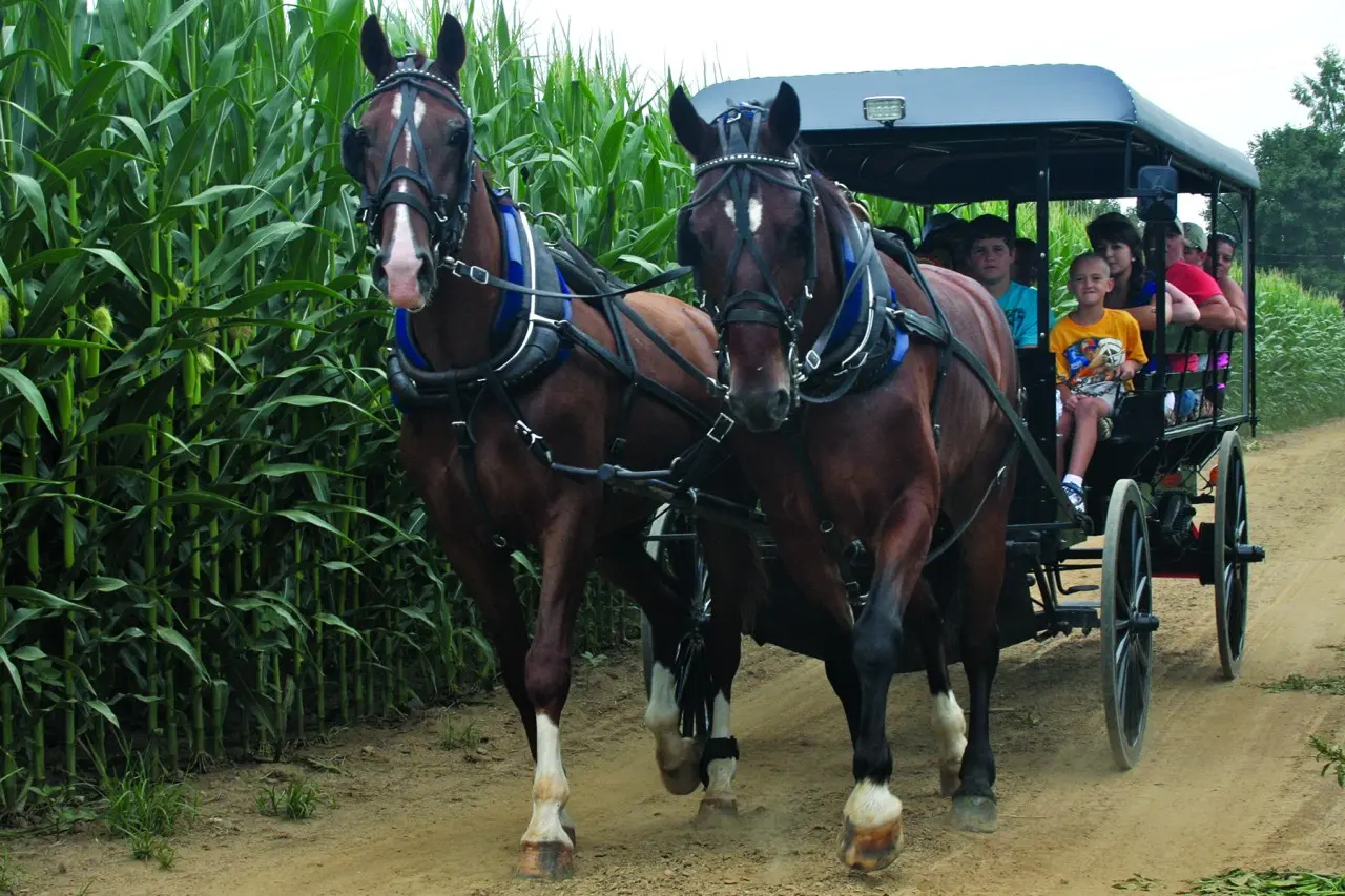 Amish Tour From Philadelphia