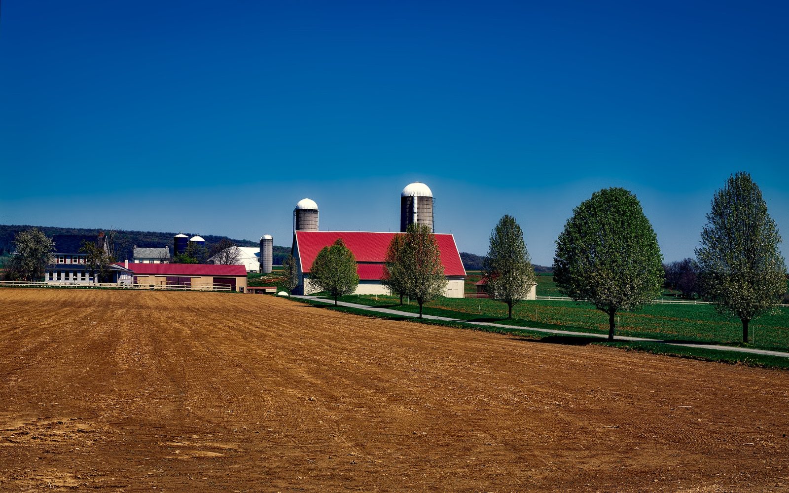 Plain Community Farms