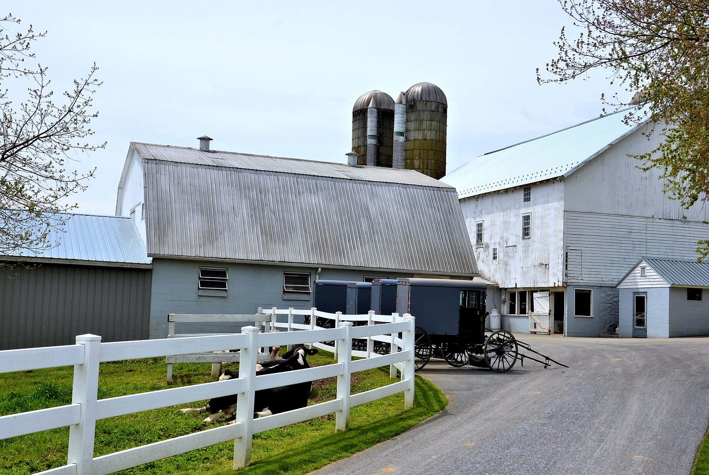 Historic Farmhouse