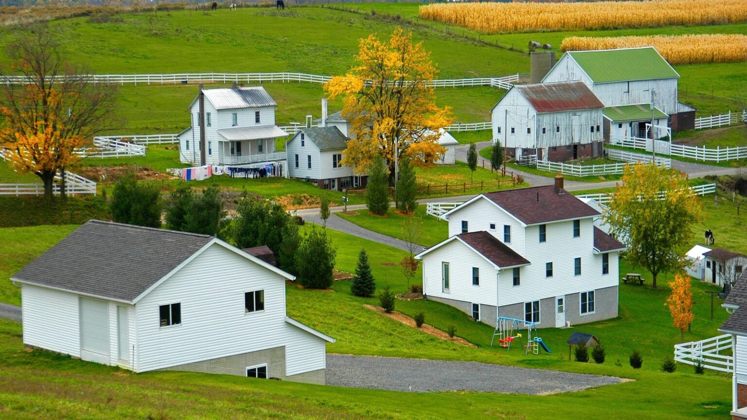 The Village Grounds