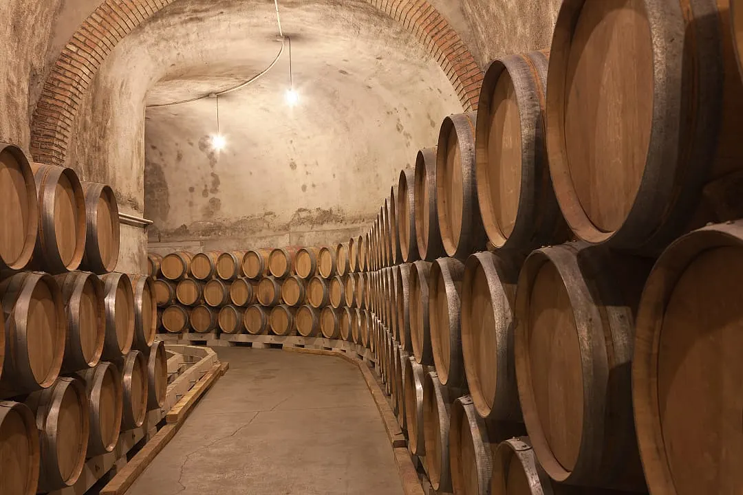 Ribera Del Duero Wineries Guided Tour & Wine Tasting From Madrid