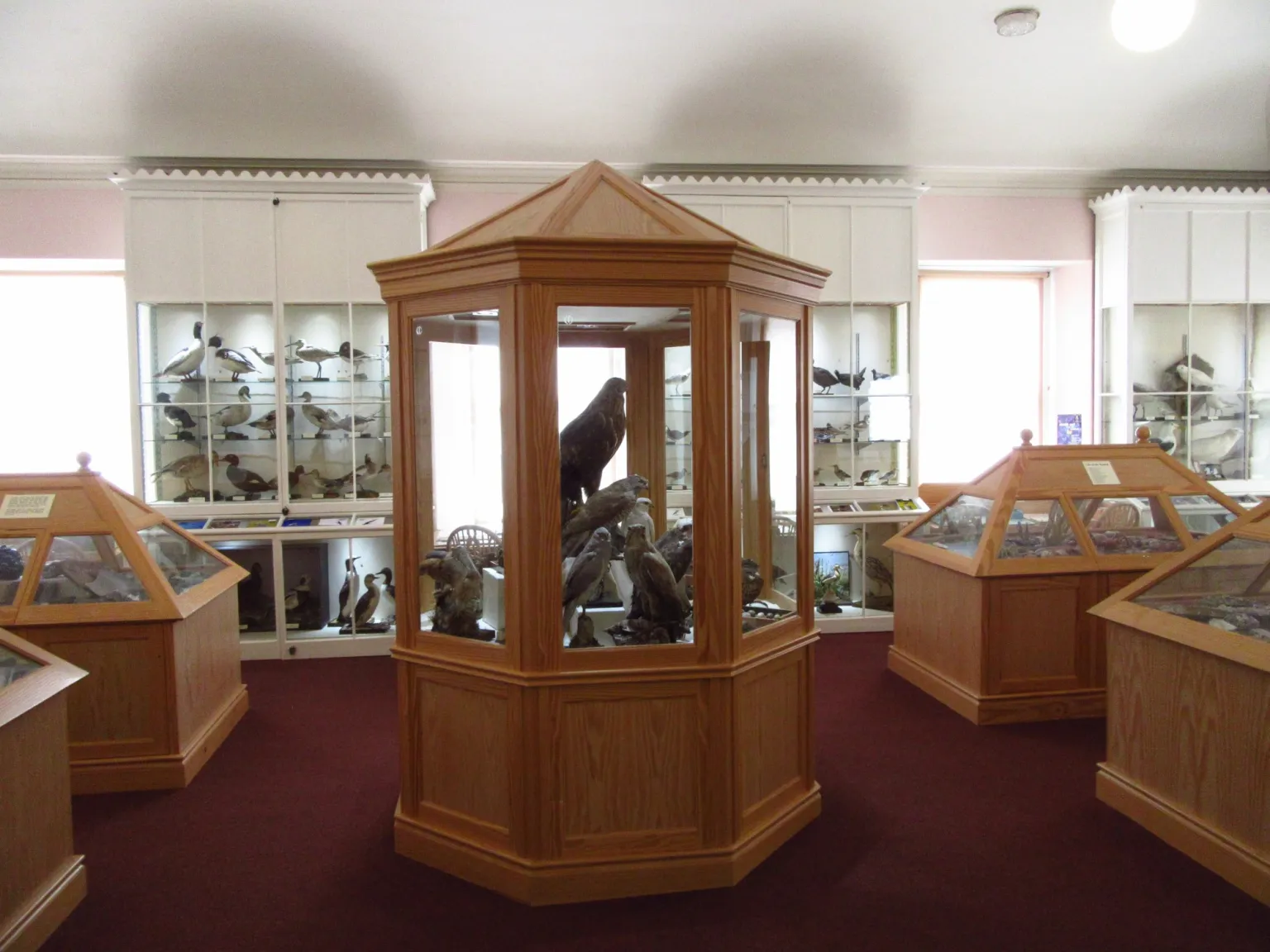 Stromness Museum