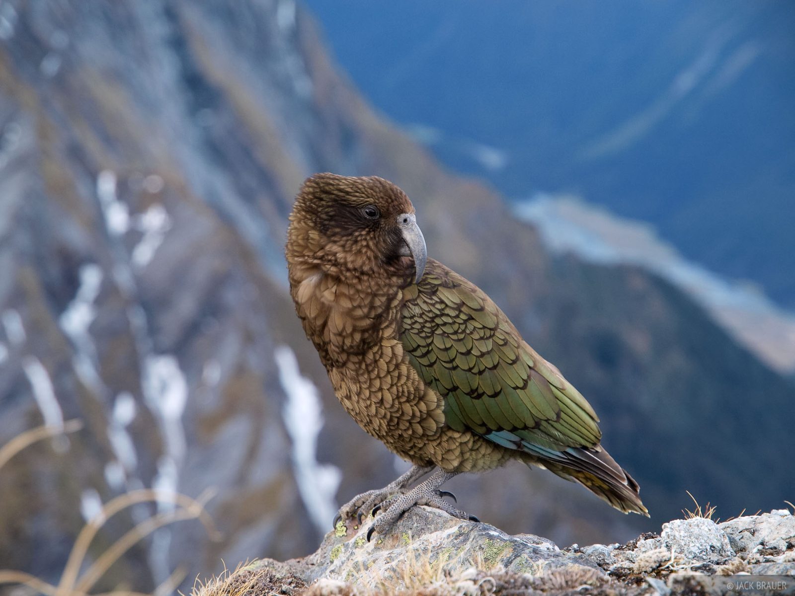 Kea Point