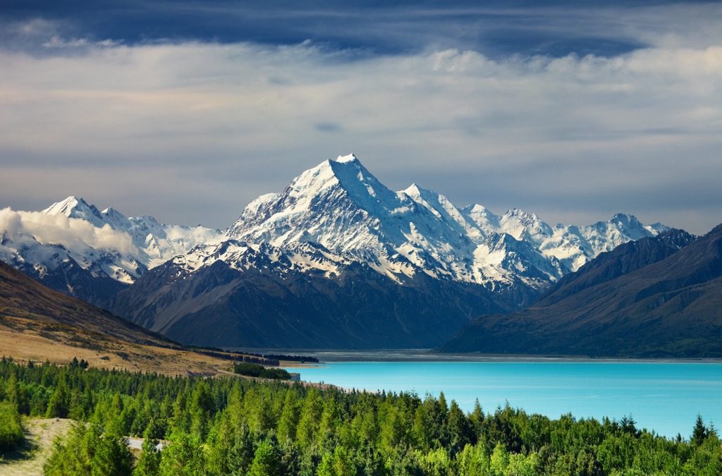 Southern Alps Vista
